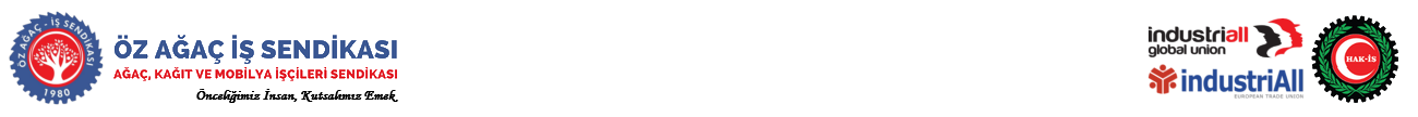 ÖZ AĞAÇ-İŞ SENDİKASI || Ağaç, Kağıt ve Mobilya İşçileri Sendikası